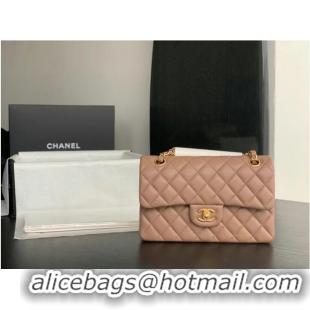 Luxurious Chanel Small Classic Handbag Sheepskin Gold-Tone Metal A01113 Taupe