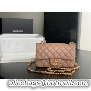 Luxury Cheap Chanel MINI Flap Bag Original Sheepskin Leather 1116 Taupe