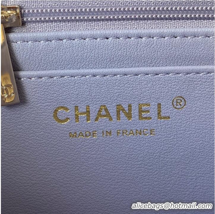 Pretty Style Chanel Sheepskin Leather mini flap bag with top handle AS2431 light purple