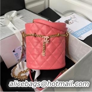 Market Sells Chanel Drawstring Bag & Gold Metal AS3116 pink