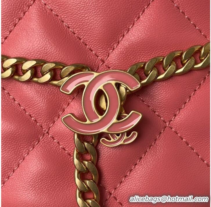 Market Sells Chanel Drawstring Bag & Gold Metal AS3116 pink