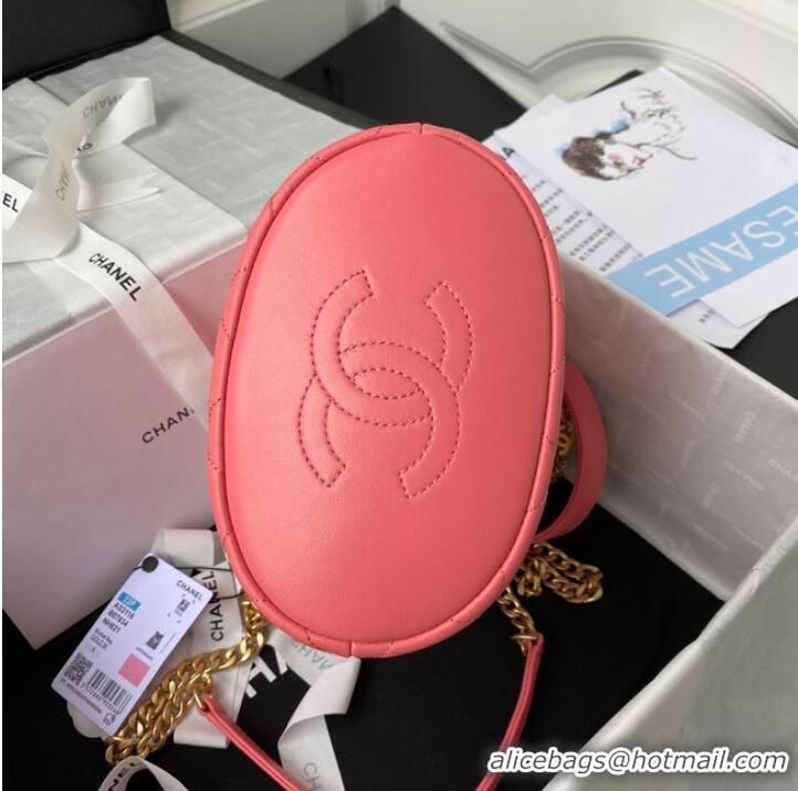 Market Sells Chanel Drawstring Bag & Gold Metal AS3116 pink