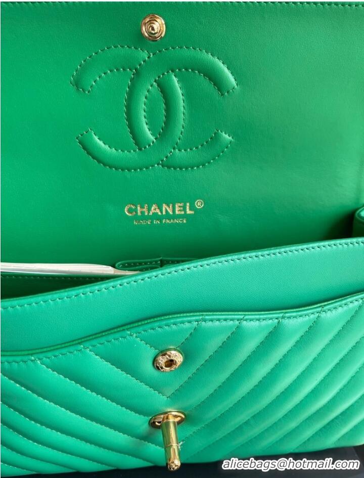 Good Quality Chanel classic handbag Lambskin & gold Metal V01112 green