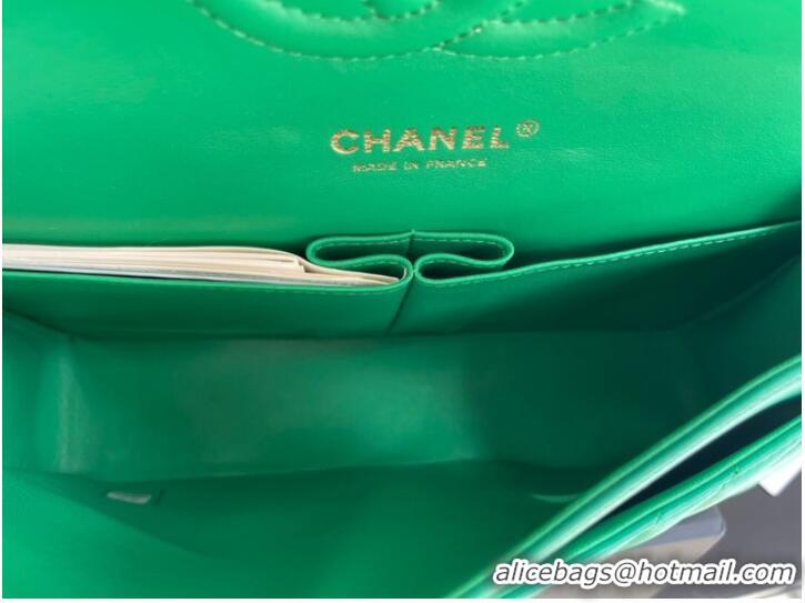 Good Quality Chanel classic handbag Lambskin & gold Metal V01112 green