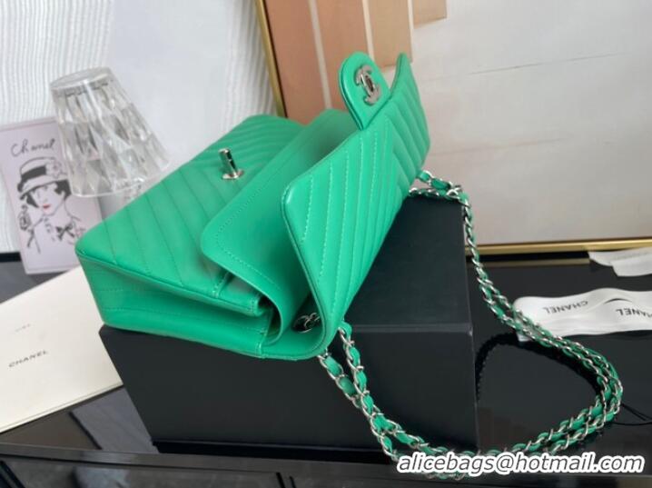 Promotional Chanel classic handbag Lambskin & silver Metal V01112 green