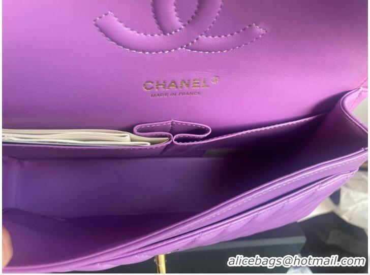 Affordable Price Chanel classic handbag Lambskin & gold Metal V01112 purple