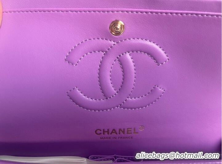 Affordable Price Chanel classic handbag Lambskin & gold Metal V01112 purple