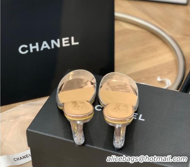 Stylish Chanel Transparent Wedge Slide Sandals Gold 032462