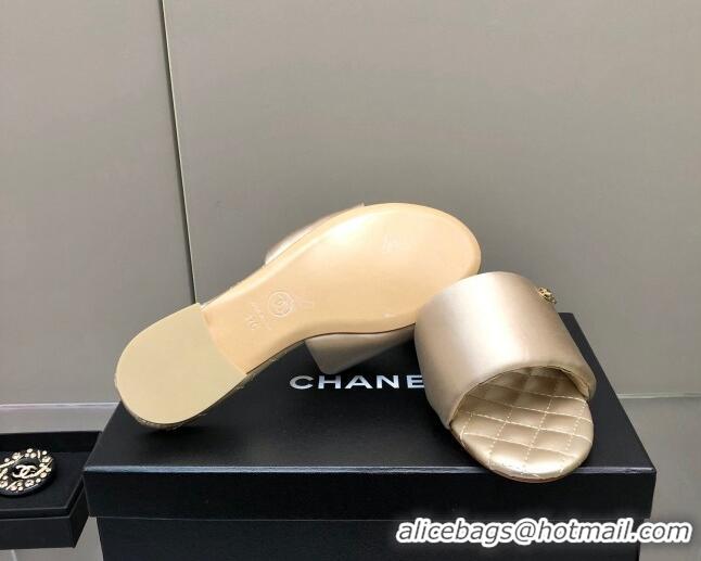 1:1 aaaaa Chanel Satin Flat Slide Sandals G38858 Gold 