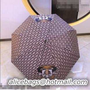 Buy Inexpensive Burberry Umbrella B9102 2021