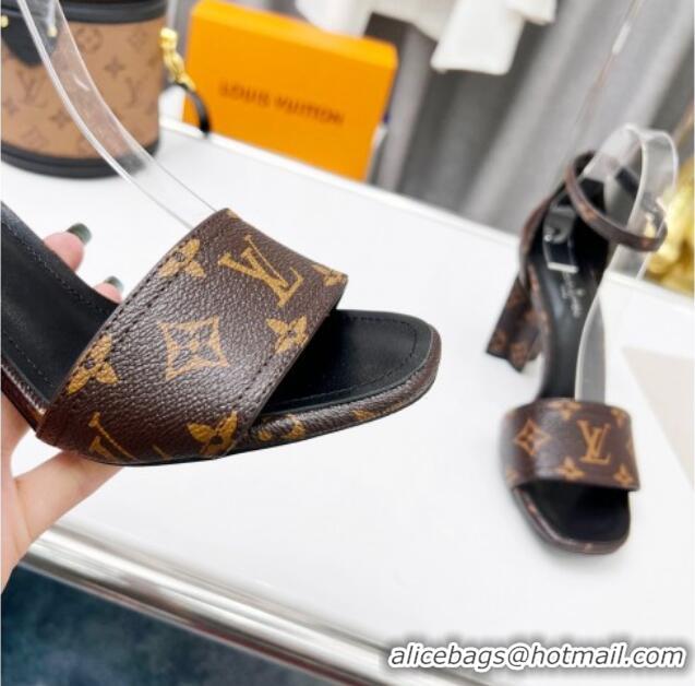 Good Product Louis Vuitton Silhouette Monogram Canvas and Leather Sandals 8cm 032332