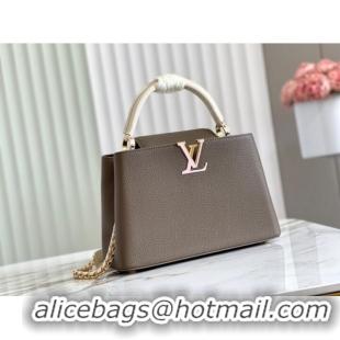 Good Product Louis Vuitton CAPUCINES MM M59516 Smokey Brown Green