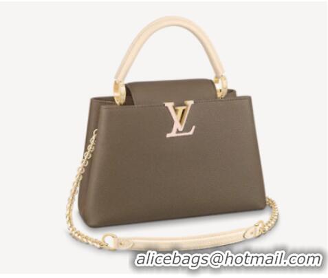 Good Product Louis Vuitton CAPUCINES MM M59516 Smokey Brown Green