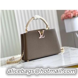 Good Product Louis Vuitton CAPUCINES BB M57227 Smokey Brown Green