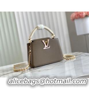 Top Grade Louis Vuitton CAPUCINES PM M57228 Smokey Brown Green