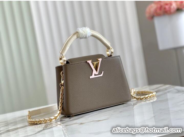 Top Grade Louis Vuitton CAPUCINES PM M57228 Smokey Brown Green