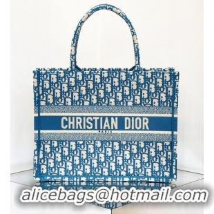 Grade Wholesale DIOR BOOK TOTE Embroidery C1287-26 blue