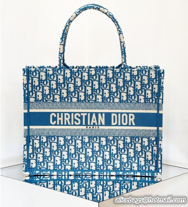 Grade Wholesale DIOR BOOK TOTE Embroidery C1287-26 blue