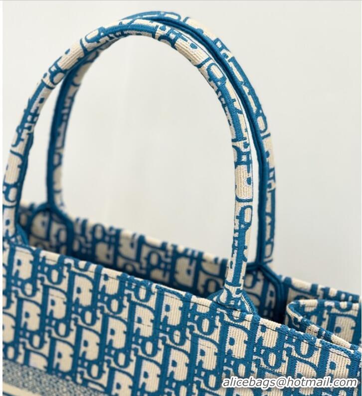 Grade Wholesale DIOR BOOK TOTE Embroidery C1287-26 blue