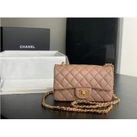 Luxury Cheap Chanel MINI Flap Bag Original Sheepskin Leather 1116 Taupe