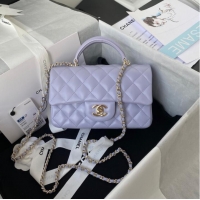 Pretty Style Chanel Sheepskin Leather mini flap bag with top handle AS2431 light purple