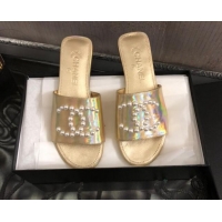 Durable Chanel Iridescent Calfskin Pearl CC Flat Slide Sandals Gold 032207