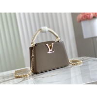 Top Grade Louis Vuitton CAPUCINES PM M57228 Smokey Brown Green