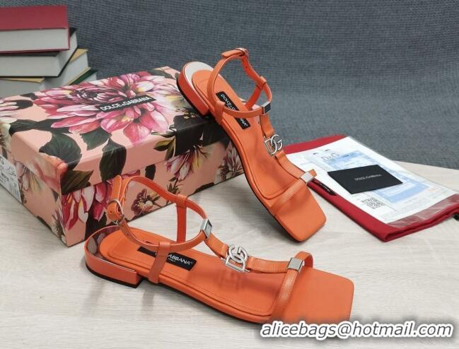 Unique Style Dolce & Gabbana DG Calfskin Sandals Orange 042203