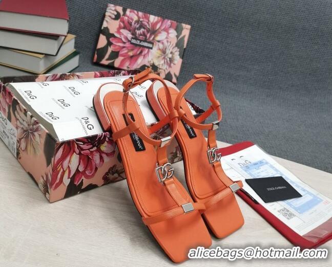 Unique Style Dolce & Gabbana DG Calfskin Sandals Orange 042203