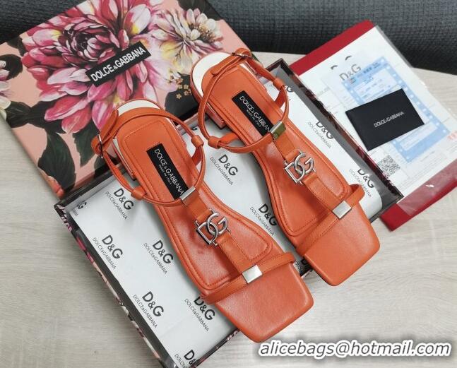 Unique Style Dolce & Gabbana DG Calfskin Sandals Orange 042203