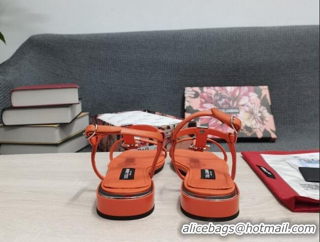 Unique Style Dolce & Gabbana DG Calfskin Sandals Orange 042203