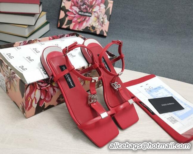 Popular Style Dolce & Gabbana DG Calfskin Sandals Red 042205