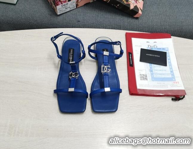 Best Product Dolce & Gabbana DG Calfskin Sandals Royal Blue 042206