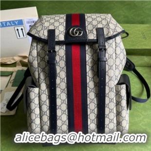 Popular Style Gucci Ophidia GG medium backpack 598140 Blue