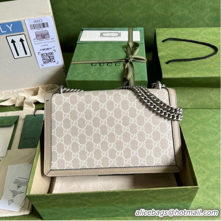 Most Popular Gucci Dionysus small GG bag 400249 Beige