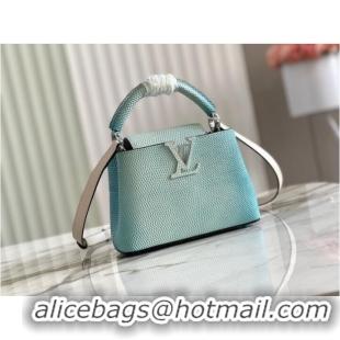 Buy Discount Louis Vuitton CAPUCINES MINI M59268 sky blue