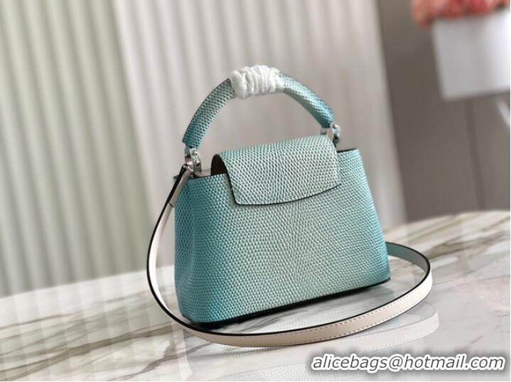 Buy Discount Louis Vuitton CAPUCINES MINI M59268 sky blue