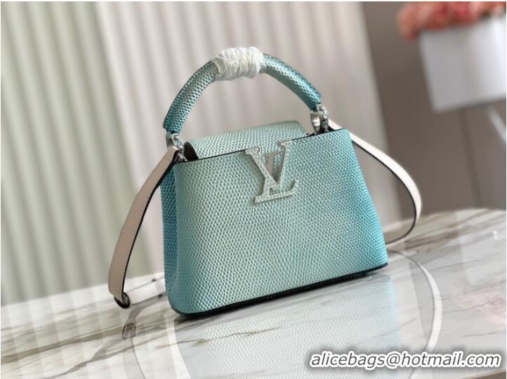 Buy Discount Louis Vuitton CAPUCINES MINI M59268 sky blue