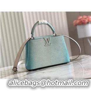 Grade Quality Louis Vuitton CAPUCINES BB M59266 sky blue