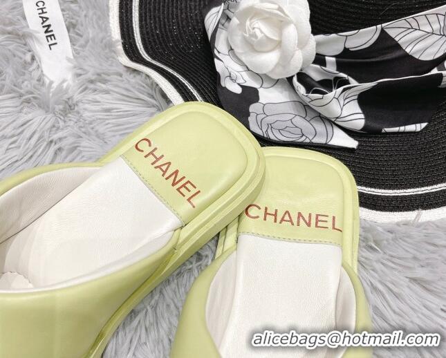 Top Design Chanel Lambskin Flat Thong Sandals Green 042697