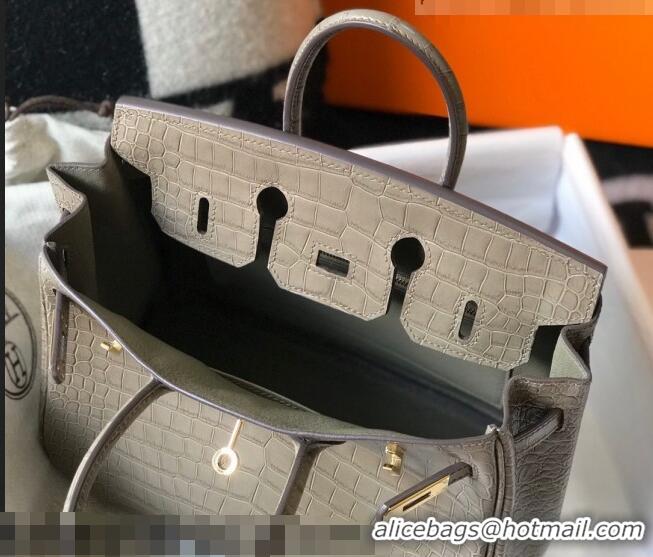 Shop Grade Hermes Birkin 25cm Bag in Crocodile Embossed Calf Leather H25 Grey/Gold