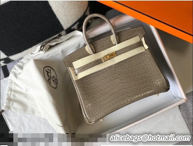 Shop Grade Hermes Birkin 25cm Bag in Crocodile Embossed Calf Leather H25 Grey/Gold