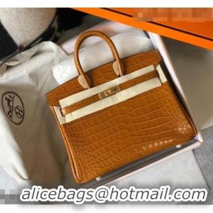 Most Popular Hermes Birkin 25cm Bag in Crocodile Embossed Calf Leather H25 Golden Brown/Gold