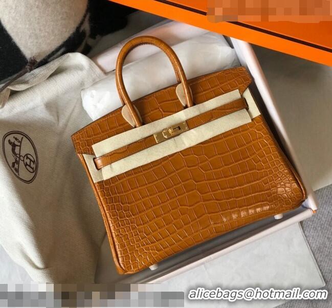 Most Popular Hermes Birkin 25cm Bag in Crocodile Embossed Calf Leather H25 Golden Brown/Gold