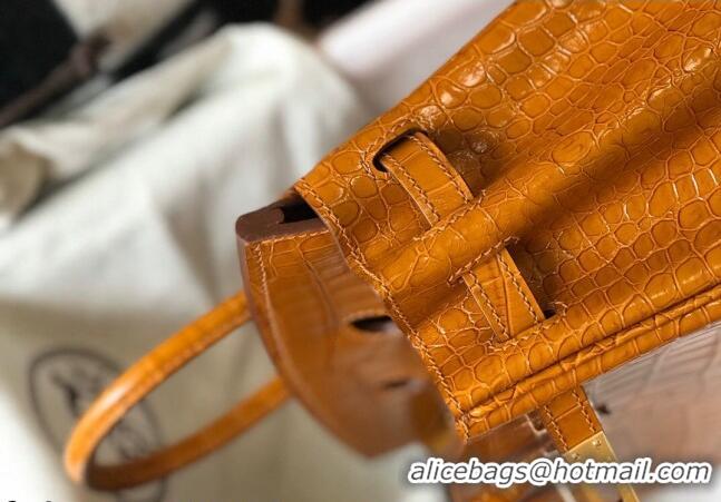 Most Popular Hermes Birkin 25cm Bag in Crocodile Embossed Calf Leather H25 Golden Brown/Gold