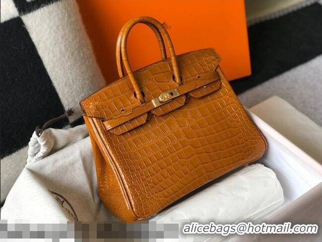 Most Popular Hermes Birkin 25cm Bag in Crocodile Embossed Calf Leather H25 Golden Brown/Gold