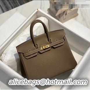 Classic Hermes Birkin 25cm Bag in Togo Calfskin H25 Etoupe Elephant Grey/Gold