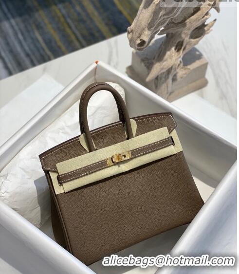 Classic Hermes Birkin 25cm Bag in Togo Calfskin H25 Etoupe Elephant Grey/Gold