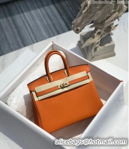 Shop Grade Hermes Birkin 25cm Bag in Togo Calfskin H25 Orange/Gold