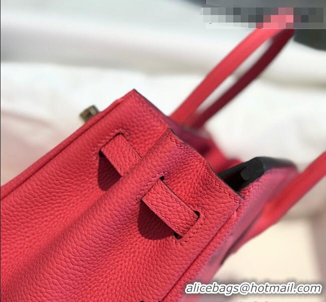 Elegant Hermes Birkin 25cm Bag in Togo Calfskin H25 Rose Lipstick Pink/Gold